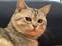 -嘉馨宠物医院·CT影像转诊·心脏科·犬猫全科诊疗中心(下沙大学城院区)