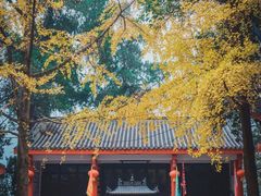 -老君山