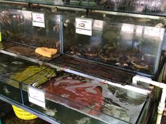 水产区-钱大妈海鲜饭店(保利林语店)