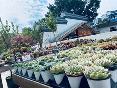 -禾气食店