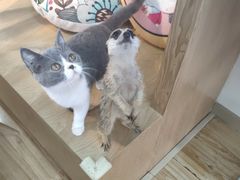 -莲香西域·正宗新疆菜(龙华店)