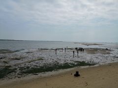 -北海金海湾红树林生态旅游区