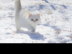 -李连贵酒家熏肉大饼(昆明街店)