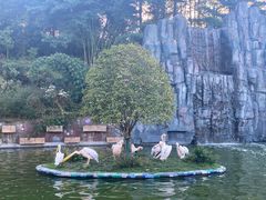 -贵州森林野生动物园