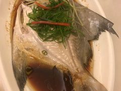 -外沙疍家棚酒楼