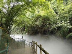 -川西竹海景区