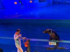 -大连圣亚海洋世界