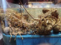 -阿伟海鲜楼·福建菜(延寿店)