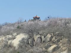 -白水寺森林公园