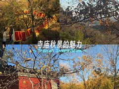 -红螺寺