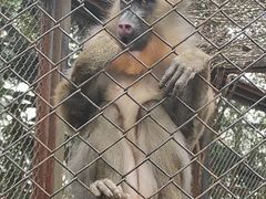-合肥野生动物园