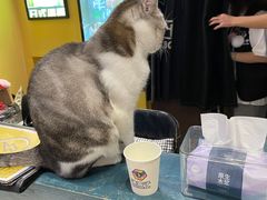 -谜盒子奇幻密室(南屏店)