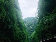-阿依河景区