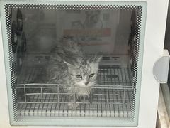 -宠福鑫康馨动物医院·骨科·眼科