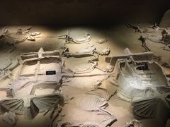 -洛阳周王城天子驾六博物馆