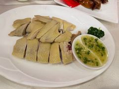 -清新鸡沙田乳鸽店(金融店)