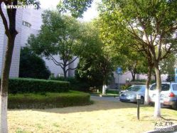 -上海交通大学医学院附属上海儿童医学中心(陆家嘴总院区)