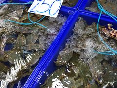 -兰坡海鲜市场