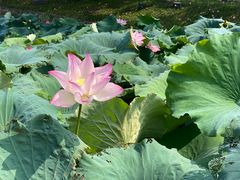 -丝绸小镇荻港古村