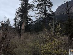 -海螺沟风景区