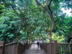 -张坝桂圆林公园
