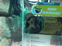 -zoonana室内动物园(东方福来德店)