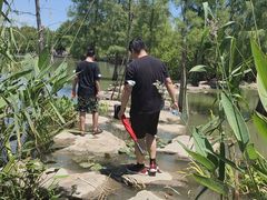 -上海长兴岛郊野公园