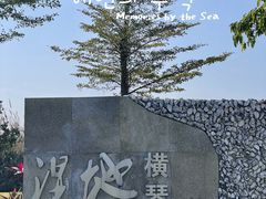 -芒洲湿地公园