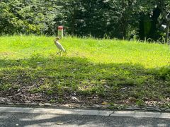 -福建鲤鱼洲酒店