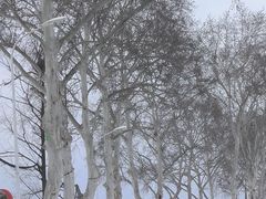 -东湖生态旅游风景区