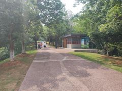 -盘龙城国家考古遗址公园