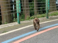 -太阳湾风景区