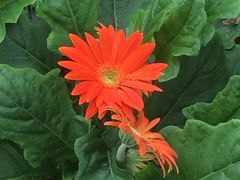 -揭东万竹园旅游景区