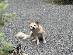 -谷咖啡·鲜花绿植花园餐厅