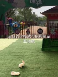 -萌宠亲子动物乐园(槐房万达店)