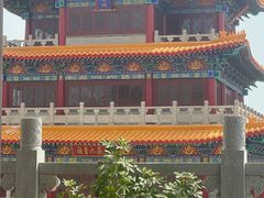 -曹州牡丹园