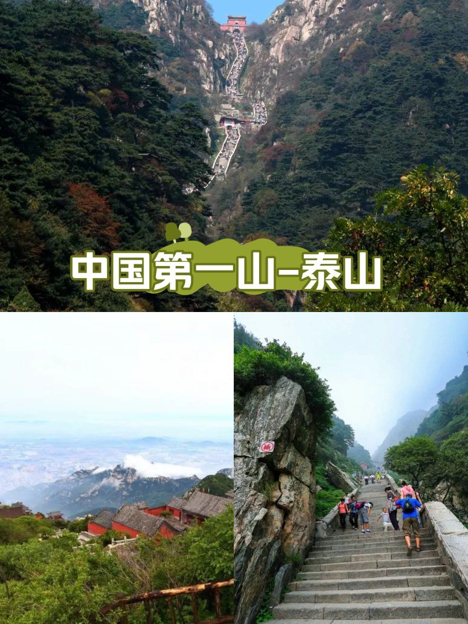 泰山是五岳之首,位于中国山东省泰安市中部