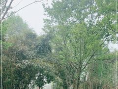 -桤木河湿地公园