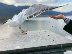 -海埂大坝