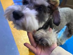 -FAELING PETS美天灵宠物(富力广场店)