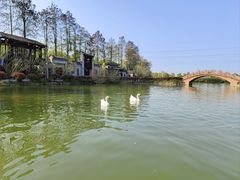 -张公山寨景区