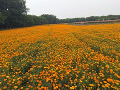 -江苏三台山国家森林公园