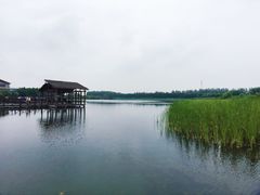 -溱湖国家湿地公园