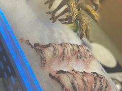 -红鼎豆捞·非遗鲍皇汤火锅(宝丰路店)