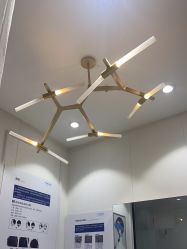 -艾米莉 烫染沙龙