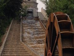 iphone_upload_pic-祥源·阜阳生态乐园