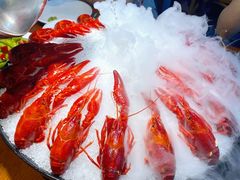 冰镇小龙虾-阿甘龙虾·重庆麻麻鱼(中豪店)
