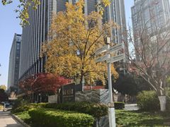 -长江路历史文化街区