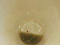 -童陈记重庆冷串串(食宝街店)