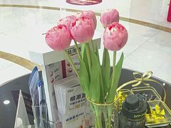 -雅悦齿科(顾村公园店)